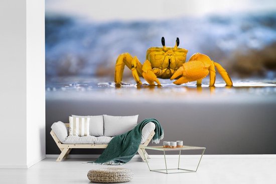 Papier peint photo peint photo vinyle - Crabe coloré sur le sable largeur 600 cm x hauteur 400 cm - Tirage photo sur papier peint (disponible en 7 tailles)