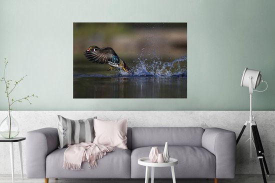 Affiche Canard - Water - Ressorts - 120x80 cm