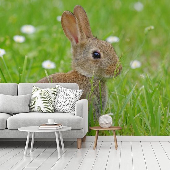 Papier Peint - Papier Papier peint photo Lapin - Fleurs - Herbe - Largeur 375 cm x Hauteur 300 cm