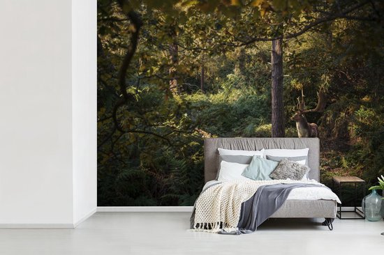 Papier peint Papier peint photo en vinyle - Cerf marchant dans une forêt en automne largeur 360 cm x hauteur 260 cm - Tirage photo sur papier peint (disponible en 7 tailles)