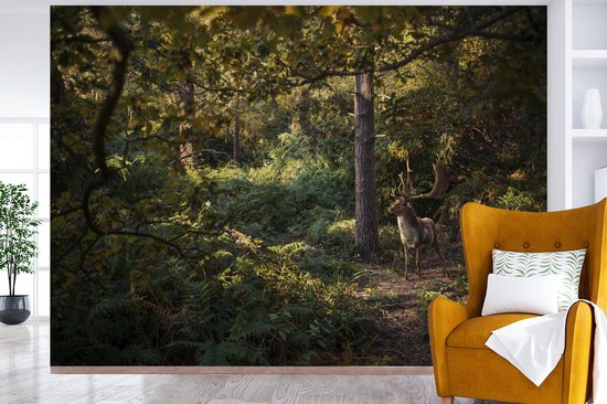 Papier peint Papier peint photo en vinyle - Cerf marchant dans une forêt en automne largeur 360 cm x hauteur 260 cm - Tirage photo sur papier peint (disponible en 7 tailles)