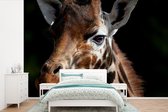 Gros plan d'une girafe 360x240 cm