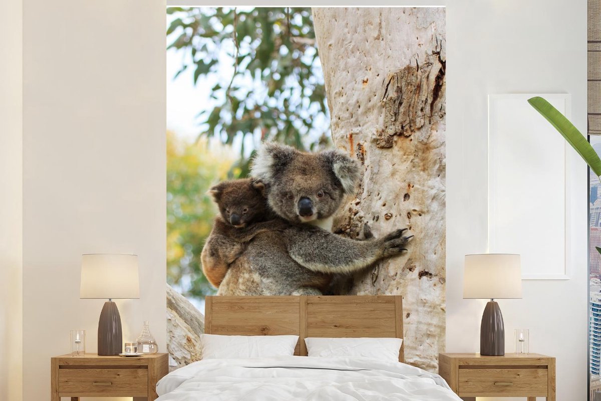 Papier peint - Papier peint photo Koala - Branches - Animaux - Largeur 225  cm x