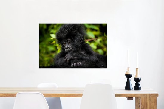 Affiche Gros plan jeune gorille - 60x40 cm
