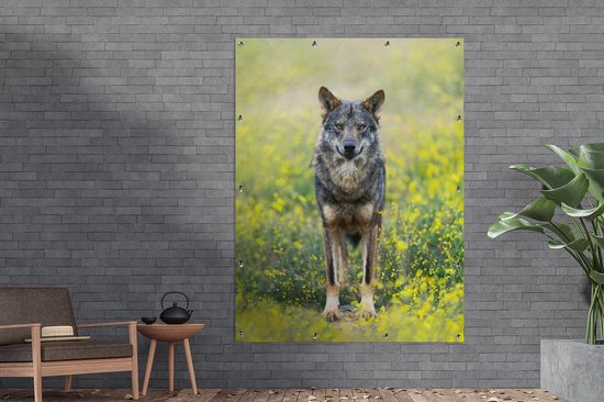 Décoration murale extérieure Loup - Fleurs - Jaune - 120x160 cm - Toile de jardin - Poster extérieur