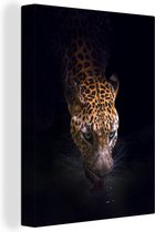 Boire du jaguar 120x160 cm - Tirage photo sur toile (Décoration murale salon / chambre) / Animaux sauvages Peintures sur toile XXL / Groot format!