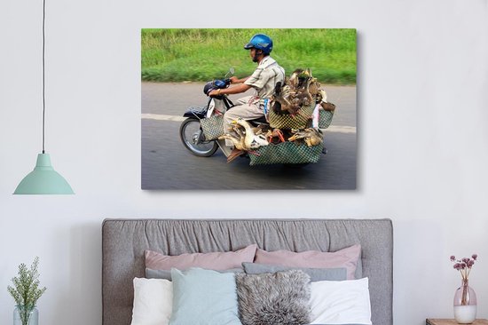 Canards en moto 160x120 cm - Tirage photo sur toile (Décoration murale salon / chambre) / Animaux domestiques Peintures sur toile XXL / Groot format!