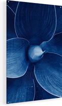 Artaza Glasschilderij - Blauwe Agave Plant - Bloem - 90x135 - Groot - Plexiglas Schilderij - Foto op Glas