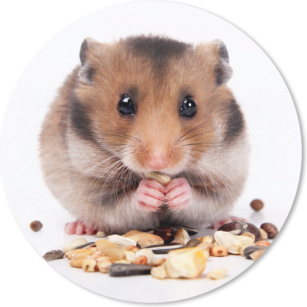 Muismat rond 30x30 cm - Mousepad hamster eet zaden - Ronde muismatten