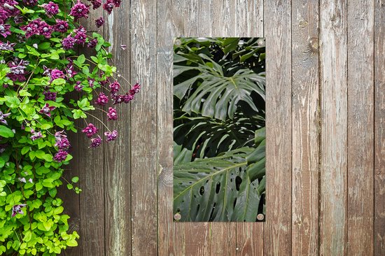Affiche de jardin Feuilles de monstera vertes - 40x80 cm - Décoration murale Extérieur - Affiche de jardin - Toile de jardin - Affiche de clôture - Peinture de jardin