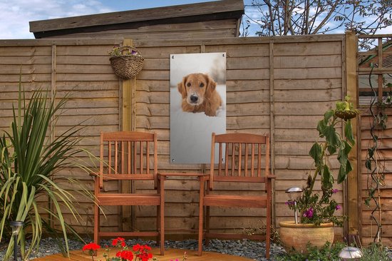 Affiche de jardin Chien - Neige - Hiver - 30x60 cm - Toile jardin - Affiche extérieure
