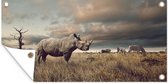 Poster jardin Rhinocéros - Zèbres - Safari - 80x40 cm - Décoration murale extérieur - Poster jardin - Toile jardin - Poster clôture - Tableau jardin