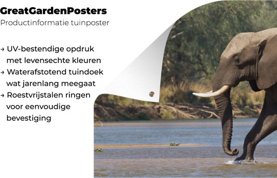 Décoration murale d'extérieur Un éléphant traverse le fleuve Zambèze dans le parc national du Bas Zambèze - 160x80 cm - Toile jardin - Affiche extérieure