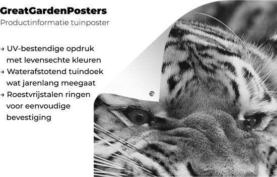 Affiche de jardin Tigre - Animaux - Zwart - Wit - 30x60 cm - Toile jardin