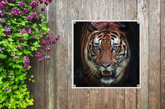 Tuinposters Tijger - Kop - Zwart - 50x50 cm - Tuindoek - Buitenposter