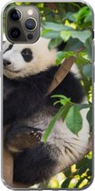 Geschikt voor iPhone 12 Pro Max hoesje - Panda - Dier - Boom - Siliconen Telefoonhoesje