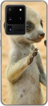 Geschikt voor Samsung Galaxy S20 Ultra hoesje - Stokstaartjes - Bruin - Dier - Siliconen Telefoonhoesje