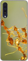 Geschikt voor Samsung Galaxy A50 hoesje - Mieren - Oranje - Dieren - Siliconen Telefoonhoesje