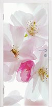 Deursticker Kersen - Bloesem - Bloemen - 80x215 cm - Deurposter