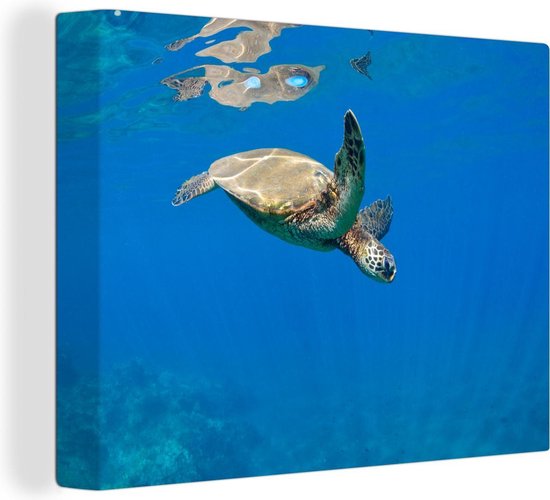 Canvas schilderij 160x120 cm - Wanddecoratie Schildpad zwemmend in oceaan - Muurdecoratie woonkamer - Slaapkamer decoratie - Kamer accessoires - Schilderijen