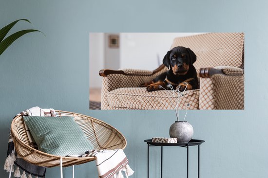 Stickers muraux - Film autocollant - Chiot Rottweiler mignon assis sur une chaise - 80x40 cm - Film adhésif - Stickers muraux chambre d'enfant - Papier peint autocollant - Papier peint autocollant - Film autocollant
