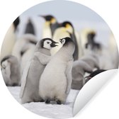 Papier peint cercle - Pingouins - Neige - Animaux - ⌀ 120 cm - Mur cercle - Autocollant - Papier peint autocollant XXL