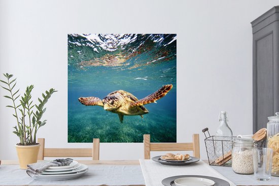 Stickers muraux - Tortue - Water - Blauw - 100x100 cm - Feuille adhésive XXL
