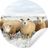 WallCircle - Muurstickers - Behangcirkel - Groep nieuwsgierige schapen - 80x80 cm - Muurcirkel - Zelfklevend - Ronde Behangsticker