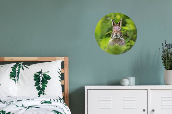 Wall Circle - Wall Circle Indoor - Lapin - Herbe - Vert - ⌀ 30 cm - Décoration murale - Peintures Ronds