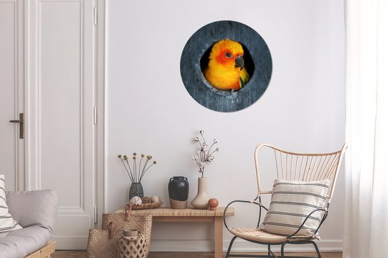 WallCircle - Muurstickers - Behangcirkel - Een Zonparkiet zit in een nest in een boom - 80x80 cm - Muurcirkel - Zelfklevend - Ronde Behangsticker