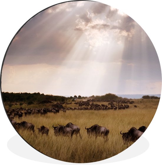 WallCircle - Wandcirkel - Muurcirkel - Zonnestralen bij onweerswolken bij Masai Mara National Park in Kenia - Aluminium - Dibond - ⌀ 90 cm - Binnen en Buiten