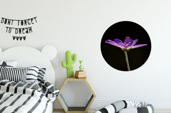 WallCircle - Stickers muraux - Cercle de papier peint - Un géranium violet sur fond noir - 80x80 cm - Cercle mural - Autocollant - Sticker papier peint rond
