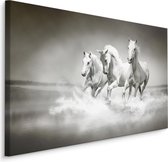 Schilderij - Wilde paarden in zwart-wit, 4 maten, premium print