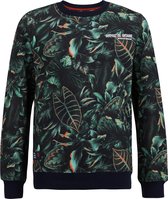 WE Fashion Jongens sweater met bladerendessin