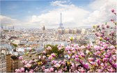 Kersenbloesem in bloei voor de skyline van Parijs - Foto op Forex - 45 x 30 cm