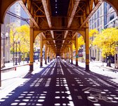 Een fietspad onder een spoorweg in Chicago stad - Fotobehang (in banen) - 450 x 260 cm