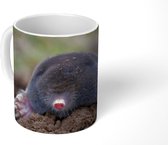 Mok - Koffiemok - Dier - Mol - Tuin - Mokken - 350 ML - Beker - Koffiemokken - Theemok