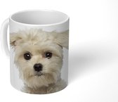 Mok - Koffiemok - Vooraanzicht van een Maltezer puppy - Mokken - 350 ML - Beker - Koffiemokken - Theemok