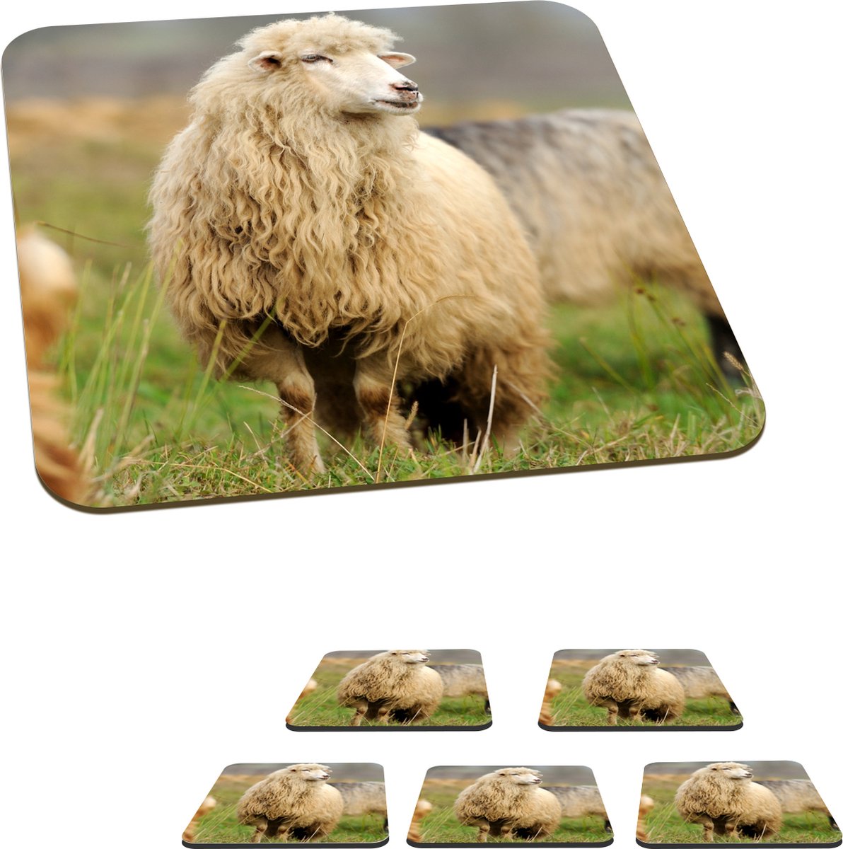 Onderzetters voor glazen - Schaap - Wol - Gras - 10x10 cm - Glasonderzetters - 6 stuks