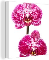 Canvas Schilderij Orchidee roze - 90x90 cm - Wanddecoratie