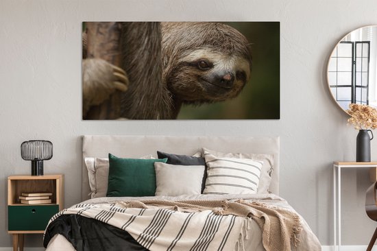 Canvas schilderij 160x80 cm - Wanddecoratie Een luiaard in de bomen kijkend naar de camera - Muurdecoratie woonkamer - Slaapkamer decoratie - Kamer accessoires - Schilderijen