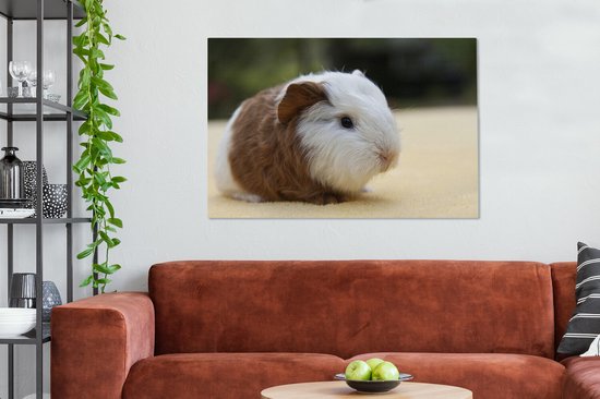 Peinture sur toile Jeune cochon d'Inde - 140x90 cm - Décoration murale