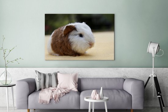 Peinture sur toile Jeune cochon d'Inde - 140x90 cm - Décoration murale