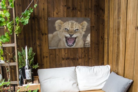 Tableau jardin Sauvage - Lion - Jeune - 80x60 cm - Affiche jardin - Toile jardin