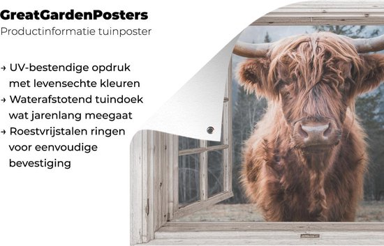 Affiche de jardin Scottish Highlander - Vache - Berg - Transparent - 120x80 cm