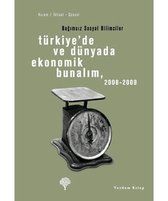 Türkiye'de ve Dünyada Ekonomik Bunalım, 2008   2009