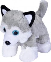 knuffel husky junior 18 cm pluche wit/grijs