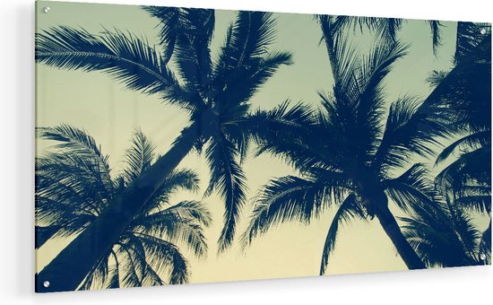 Artaza Glasschilderij - Palmbomen Bladeren - 80x40 - Plexiglas Schilderij - Foto op Glas