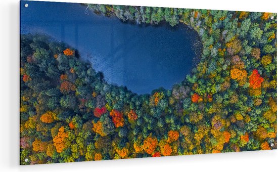 Artaza Glasschilderij - Kleurrijke Bos Met Bomen Naast Een Meer - 80x40 - Plexiglas Schilderij - Foto op Glas