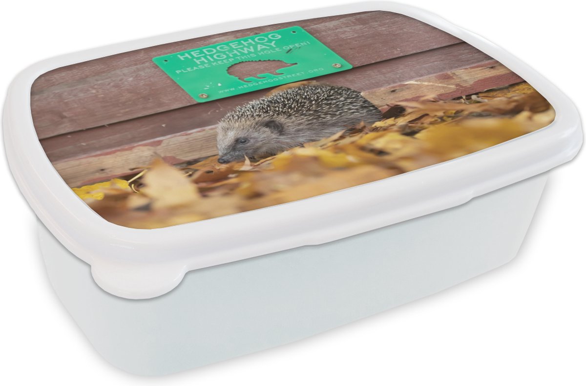 Broodtrommel Wit - Lunchbox - Brooddoos - Egel loopt door schutting - 18x12x6 cm - Volwassenen